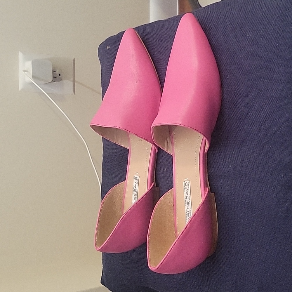 Charles david ballerina shoes